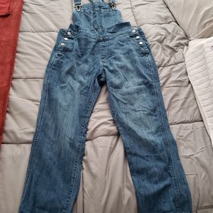 Gap Medium Overalls